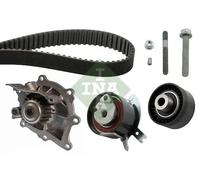 Kit de distribución + bomba de agua 530 0489 30 INA para PEUGEOT LAND ROVER FORD