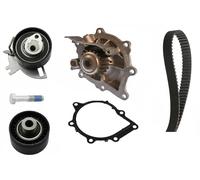 Kit de distribución + bomba de agua 530 0691 30 INA para CITROËN PEUGEOT FORD DS