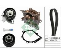 Kit de distribución + bomba de agua 530 0691 30 INA para CITROËN PEUGEOT FORD DS