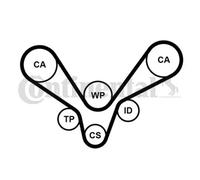 Kit de distribución + bomba de agua CT1015WP1 CONTINENTAL CTAM para AUDI VW