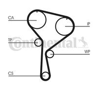 Kit de distribución + bomba de agua CT1035WP4 CONTINENTAL CTAM para RENAULT