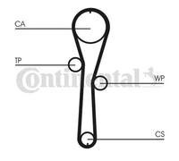Bomba de agua + juego de correas de distribución CONTINENTAL CT1045WP1