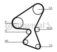 Kit de distribución + bomba de agua CT1104WP1 CONTINENTAL CTAM para CITROËN