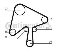 Kit de distribución + bomba de agua CT1136WP1 CONTINENTAL CTAM para MAZDA 5 3