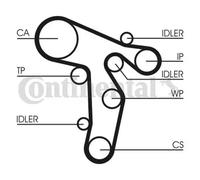 Kit de distribución + bomba de agua CT1139WP6 CONTINENTAL CTAM para VW SEAT AUDI