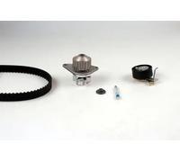 Kit de distribución + bomba de agua PK08461 HEPU para PEUGEOT CITROËN FIAT