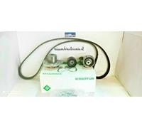 Kit de distribución INA bomba de agua correa servicio para Alfa Romeo 147 GT ...