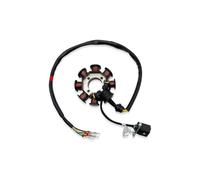 Kit De Embrague De Magneto Y Piñón De Estator De Motocross Motor Para ZONGSHEN NB300 CBS300 ZS174MN-3 De 8/12 Polos Estator Motocicleta(8 Pole Stator)