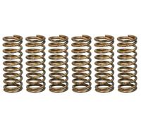 Muelles de embrague TRW MEF341-6