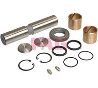 Kit de ensamblaje, pivote de eje FAG 830 0008 30 para OE 291498173 - 291498173A