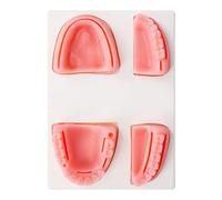 Kit de Entrenamiento de Sutura Oral, Modelo de Silicona para Mejorar las Habilidades, Paquete Individual, 5 Bolsas, Kit de Sutura de Hilo para Estudiantes