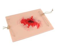 Kit de entrenamiento para el vendaje quirúrgico de heridas, diseño ajustable y reutilizable, para practicar técnicas de primeros auxilios y ejercicios de sutura para el control de hemorragias.