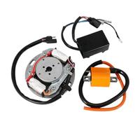Kit de estator de rotor de volante de bobina de encendido 32900-20420 compatible con RM80 RM85 RM125 TM125 RM250 RM370 RM400 RM465 RM500