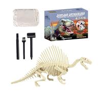Kit De Excavación Fósiles - Conjunto Desenterrar PP/Yeso | Juguete Recurso Educativo | Set Búsqueda Esqueleto 3D, Cacería del Tesoro para Niños Varones Hembras