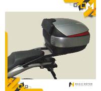 Kit de fijación de baúl trasero SHAD Top Master HONDA HORNET CB600 F H0HR67ST