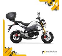 Kit de fijación de baúl trasero SHAD Top Master HONDA MSX 125 H0MS17ST