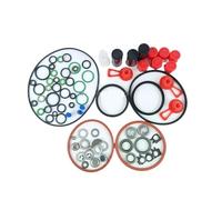 Kit de filtro de bomba de urea Anillo de goma de reparación del equipo 7135-277A de la junta del surtidor de combustible de la inyección diesel DELHI DP200 Filtro de urea