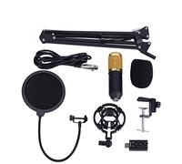 Kit de Filtro Pop con Soporte de Brazo para Micrófono de Condensador, Soporte Antiprueba de Golpes, Estable para Grabación