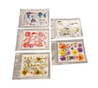Kit de flores prensado colorido Combinado con varios usos para las artes de uñas, fabricación de velas, 5 flores secas prensadas para el diseño de joyas de bricolaje, 100 piezas secas imitadas (tipo 1