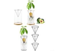 Kit de germinación de aguacate, soporte para plantas de acero inoxidable, brote triangular para apoyo al crecimiento, observador del desarrollo de raíces, jardinería para niños, cocina para jardín (3