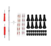 Kit de herramientas de instalación de vástagos de válvula para neumáticos, conjunto de instalación y extracción de vástagos de válvula con extractor de núcleo y carretes, para