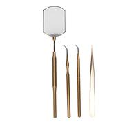 Kit de herramientas para arte de pestañas, juego de herramientas profesionales de extensión de pestañas, espejo de inspección giratorio de acero inoxidable con pinzas y varillas (Oro)