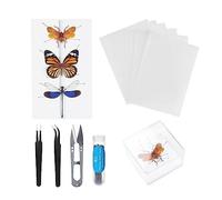 Kit de herramientas para muestras de insectos, alfileres de insectos, tabla de pinzamiento de insectos, papel de prensado de alas, pinzas, tijeras, vitrina de insectos, colección de insectos para
