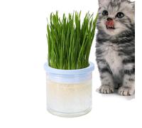 Kit de hierba para gatos Contode-Hydroponic Cat Grass Kit, jardín interior seguro | automático Sprouter, cultivador de pasto de trigo Pet-Safe fácil montaje, diseño compacto para el hogar