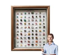 Kit de identificación de minerales: Juego de 80 muestras de Piedras Preciosas, Marco de exhibición de Madera de colección de en Bruto | Kit Educativo de Estudio de para Aprender geología