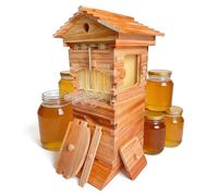 Kit de iniciación de apicultura, colmena de madera con 4 marcos automáticos de miel y 6 marcos de cría, ventana de observación transparente y boquilla de miel de fácil liberación, perfecto para la