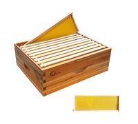 Kit de inicio de colmena, caja de núcleo con 10 panales medianos, colmena de madera maciza con marco de madera y base encerada, caja de colmena sostenible suministros de apicultura, colmena 100%