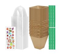 Kit de Jardinería Infantil Juego De Jardinería STEM