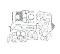 Kit de juntas, cárter REINZ 08-56192-01