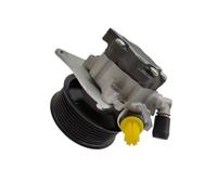 Kit de juntas de dirección asistida Bomba de dirección asistida para Range para Rover 3.6 D 4x4 AWD Mk III L322 3628cc 200KW 272HP piezas