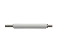 Kit de Mantenimiento de Conjunto de Rodillo de Platina de P1037974-028, Compatible con Impresora Zebra ZT200 Series ZT210 ZT220 ZT230 ZT111 ZT211 ZT231 ZT231CN, 1 ud.(Only Roller)