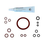 Kit de mantenimiento para cafeteras Philips Saeco Xelsis Picobarista Series 1200 2200 2300 3200 3300 4300 4300 4400 5400 - Juntas tóricas y grasa de silicona