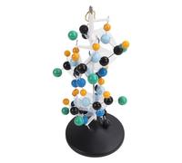 Kit de Modelo Molecular de proteína Colores Brillantes Conjunto de construcción de Modelo de Estructura de proteína 3D para Aula Escuela Enseñanza Bioquímica Ayuda Visual Plástico