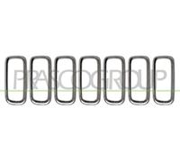 Kit De Molduras Decorativas/Protectivas, Rejilla De Radiador JE1002206 PRASCO