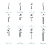 KIT TORNILLOS MONTAJE PANTALLAS TOOQ SSK4820