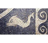 Kit de mosaico delfín con cenefa. 1000 teselas de 7,5mm. + herramientas. Tamaño terminado: 38x22 cm.