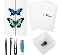 Kit de muestras de insectos para el aula con vitrinas, tablas de montaje de EVA, herramientas de fijación, papeles transparentes y pines de insectos
