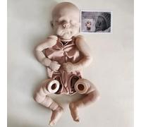 Kit de muñeca Reborn de 21 pulgadas Eric/Erica con COA, edición limitada, color fresco, sin pintar, piezas de muñeca con cuerpo de tela