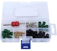 Kit de Núcleo de Válvula Rígida，piezas Kit de Reparación de Aire Acondicionado,Herramienta de Reparación + 10 piezas Núcleos de Válvula + 50 piezas Juntas de Manguera + 10 Válvulas