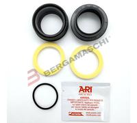 KIT DE PARABRISAS HORQUILLA PARA MTB 32mm ARI.A018 MANITOU LEGACY MARVEL/MINUTE