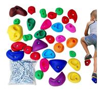 Kit de pared de escalada en roca, tomas de escalada para niños | Soporte de escalada para jardín de infantes de 32 piezas | Juego de juegos de parque infantil, kit de pared de escalada en ro
