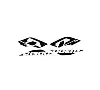 Kit De Pegatinas Carenado Motocicleta BMW para R1300GS, Calcomanías Decorativas Vinilo 3D, Accesorios Protección, Adhesivas