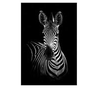 Kit de pintura al óleo por números de Shukqueen, kit de pintura al óleo para hacer tú mismo para niños, principiantes, adultos, decoración del hogar, cebra en blanco y negro, 40,6 x 50,8 cm, sin marco