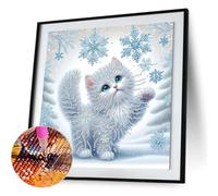 Kit de pintura de diamante 5D DIY parcial con formas especiales para adultos y principiantes, decoración de pared 30x30 cm