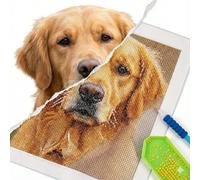 Kit de Pintura de Diamante 5D Personalizado con Tu Foto - Diamond Painting Personalizable de Imagen Propia, Punto de Cruz Diamante Mosaico, Manualidades Adultos para Decoración y Regalo (30x40cm)