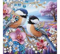 Kit de pintura de diamantes 5D parcial en forma especial para adultos, regalo de arte de pared, 30 x 30 cm